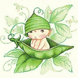 Фа-Сольки Шоу-группа